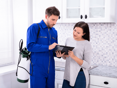 About Termite Inspections Near Me - termite inspections experts in Tampa